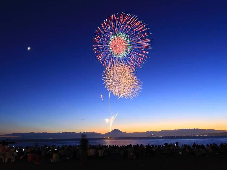 夏の風物詩に感動する。