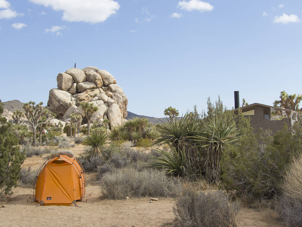Joshua Tree camping guide for desert adventurers