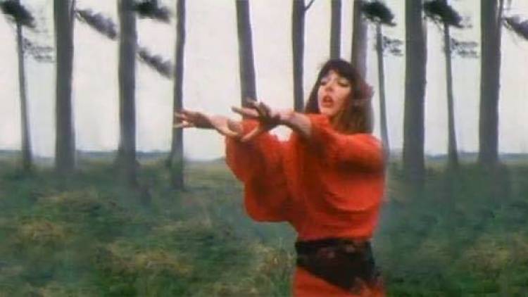 Kate bush