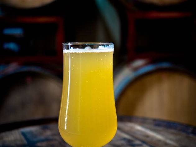 Hard Apple Cider Hard Apple Cider