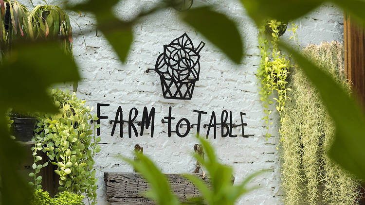 Farm to Table, Hideout