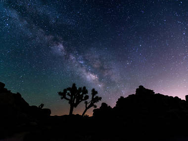 A Joshua Tree camping guide A Joshua Tree camping guide