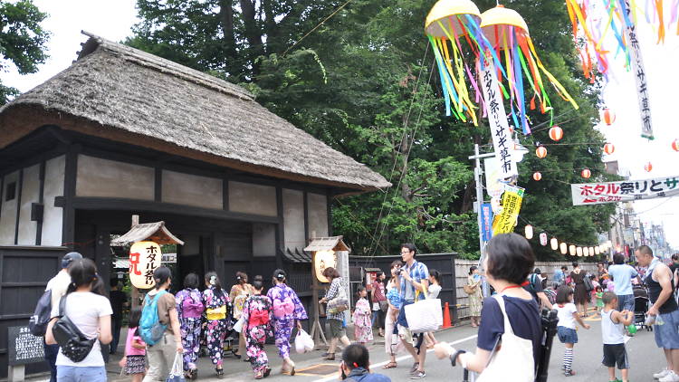 Setagaya Firefly Festival せたがやホタル祭りとサギ草市1