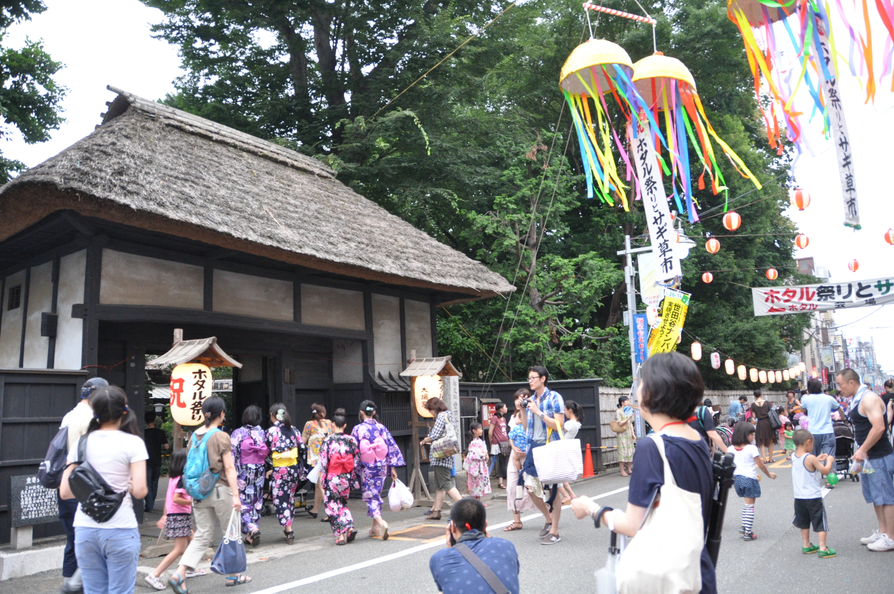 Setagaya Firefly Festival and Sagiso Market | Things to do in Tokyo
