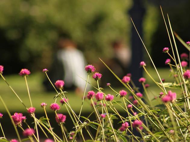 Fête des Jardins 2016 Fête des Jardins 2016