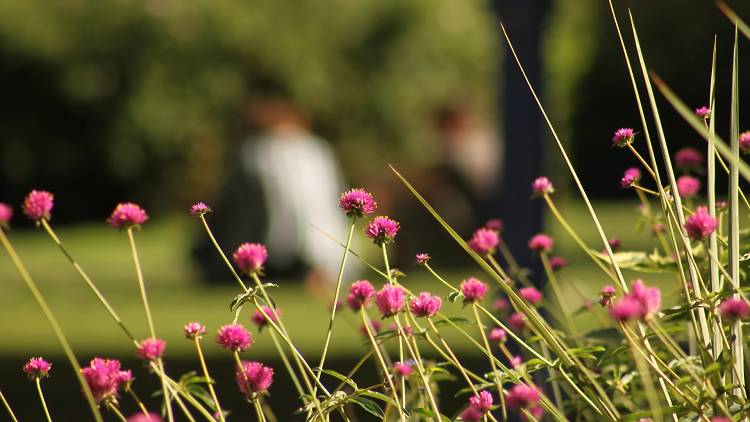 Fête des Jardins 2016