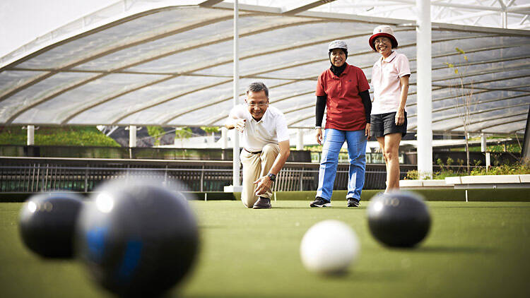 Lawn Bowling