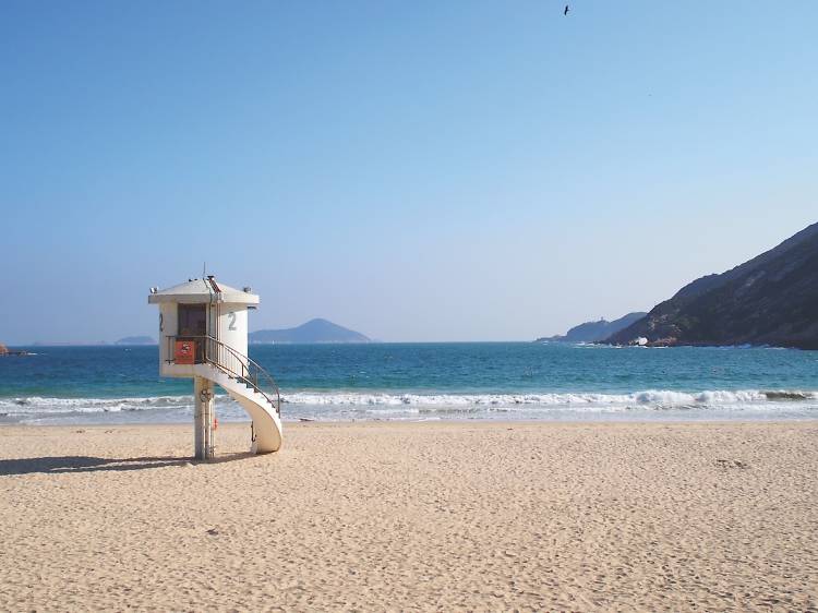 Organise a beach day