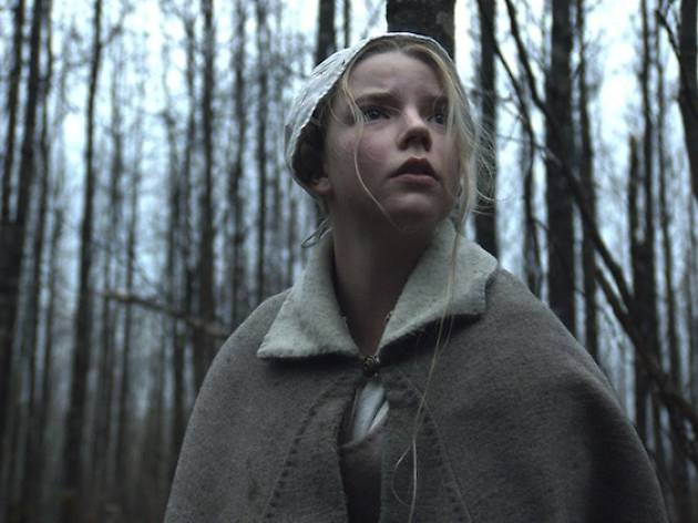 The Witch The Witch