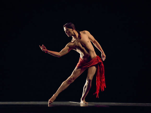 Danza Cebra Gay Danza Cebra Gay presenta su nuevo show en Bellas Artes de la Ciudad de México