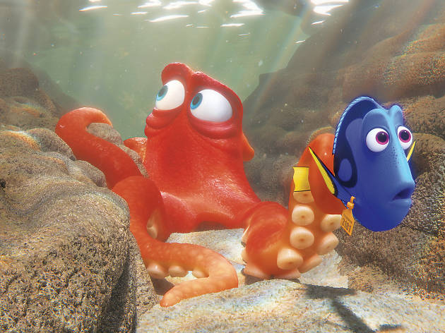 Finding Dory Finding Dory