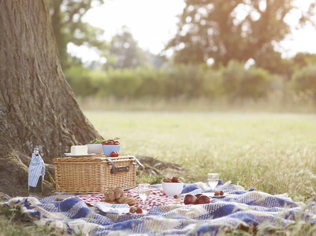 Boots Hayfever Picnic and hamper beside tree in meadow. Summer picnic