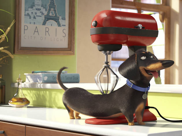 download the new version The Secret Life of Pets