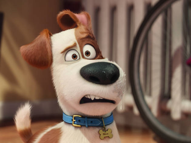 La vida secreta de tus mascotas La vida secreta de tus mascotas