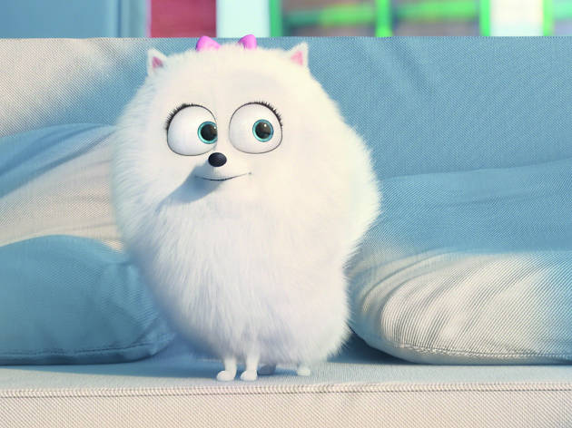 Gidget La vida secreta de tus mascotas Gidget La vida secreta de tus mascotas
