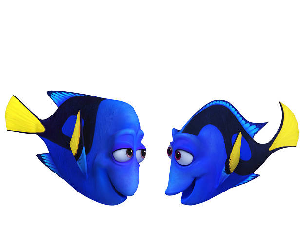 Buscando a Dory Buscando a Dory