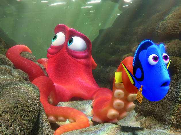 Buscando a Dory Buscando a Dory