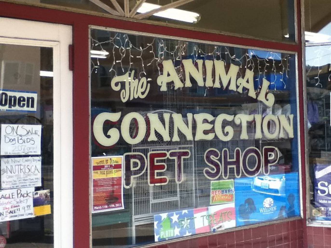 Best pet stores in San Francisco for your furry friends