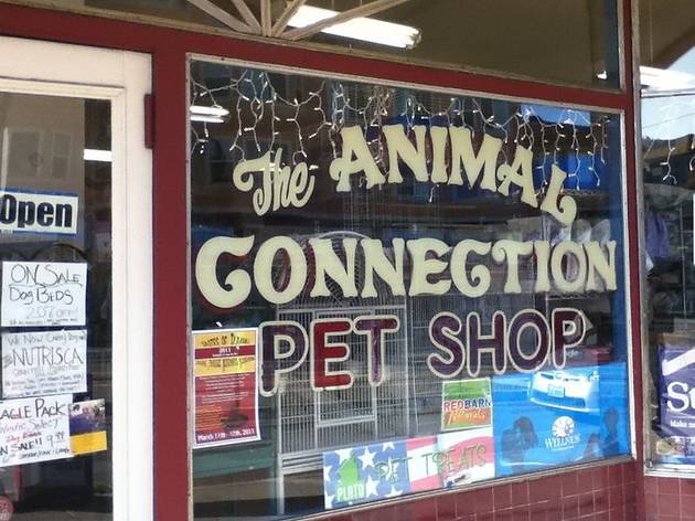 animal pet shop