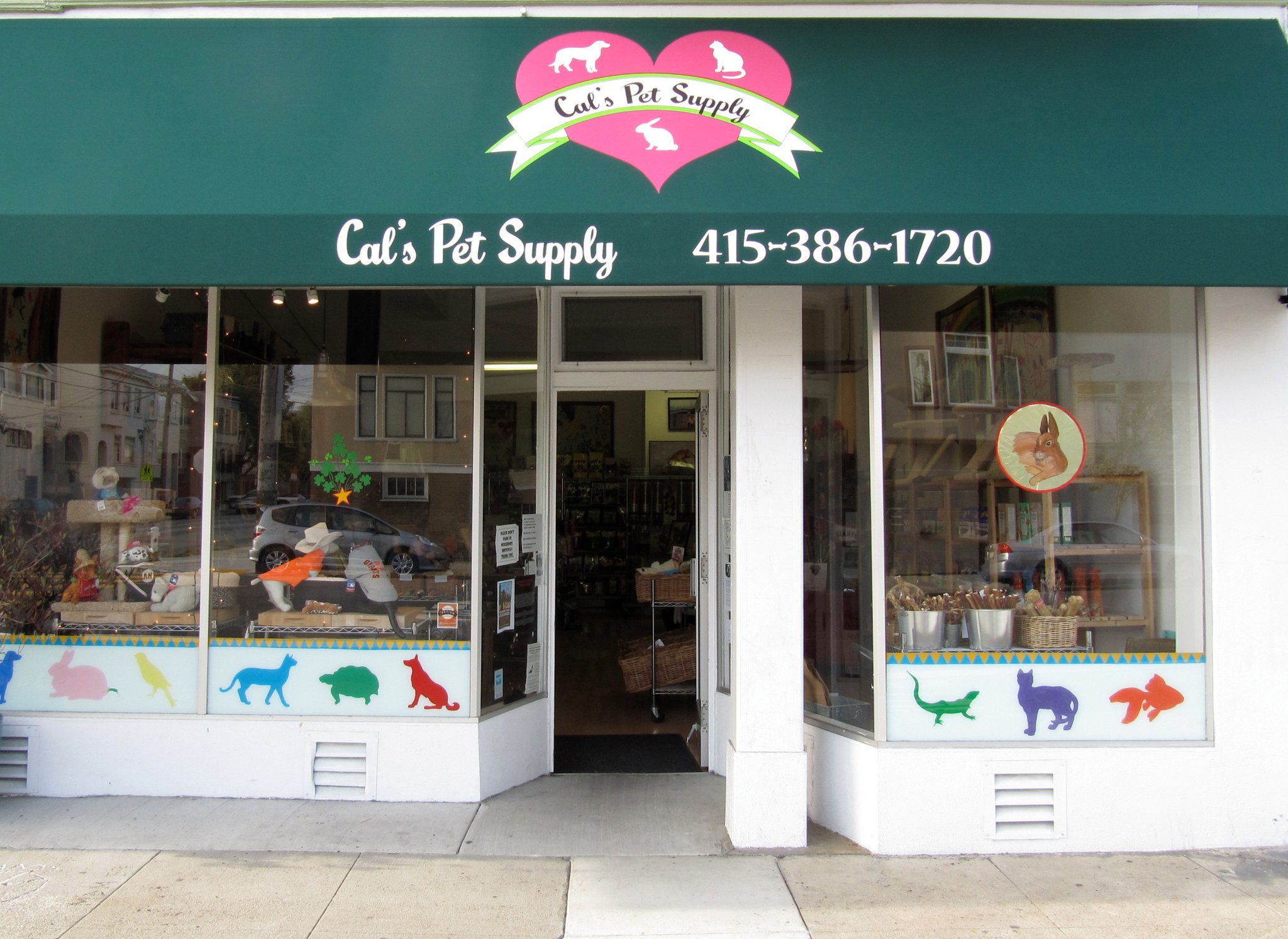 Best pet stores in San Francisco for your furry friends