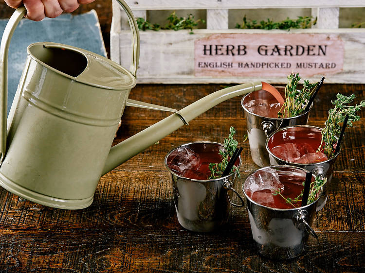 Cherry & Thyme Watering Can cocktails at The Botanist