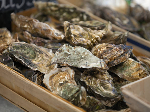 oysters festivals in nj