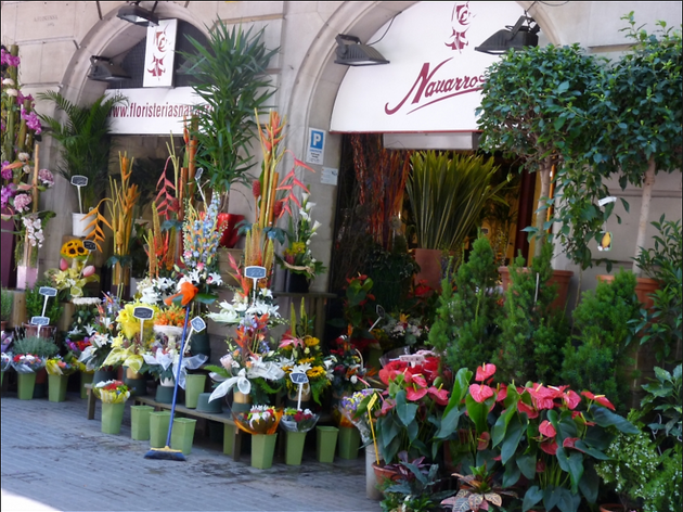 Flors Navarro Flors Navarro