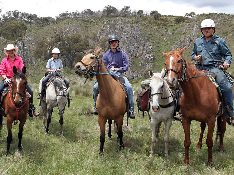 Go horseback riding