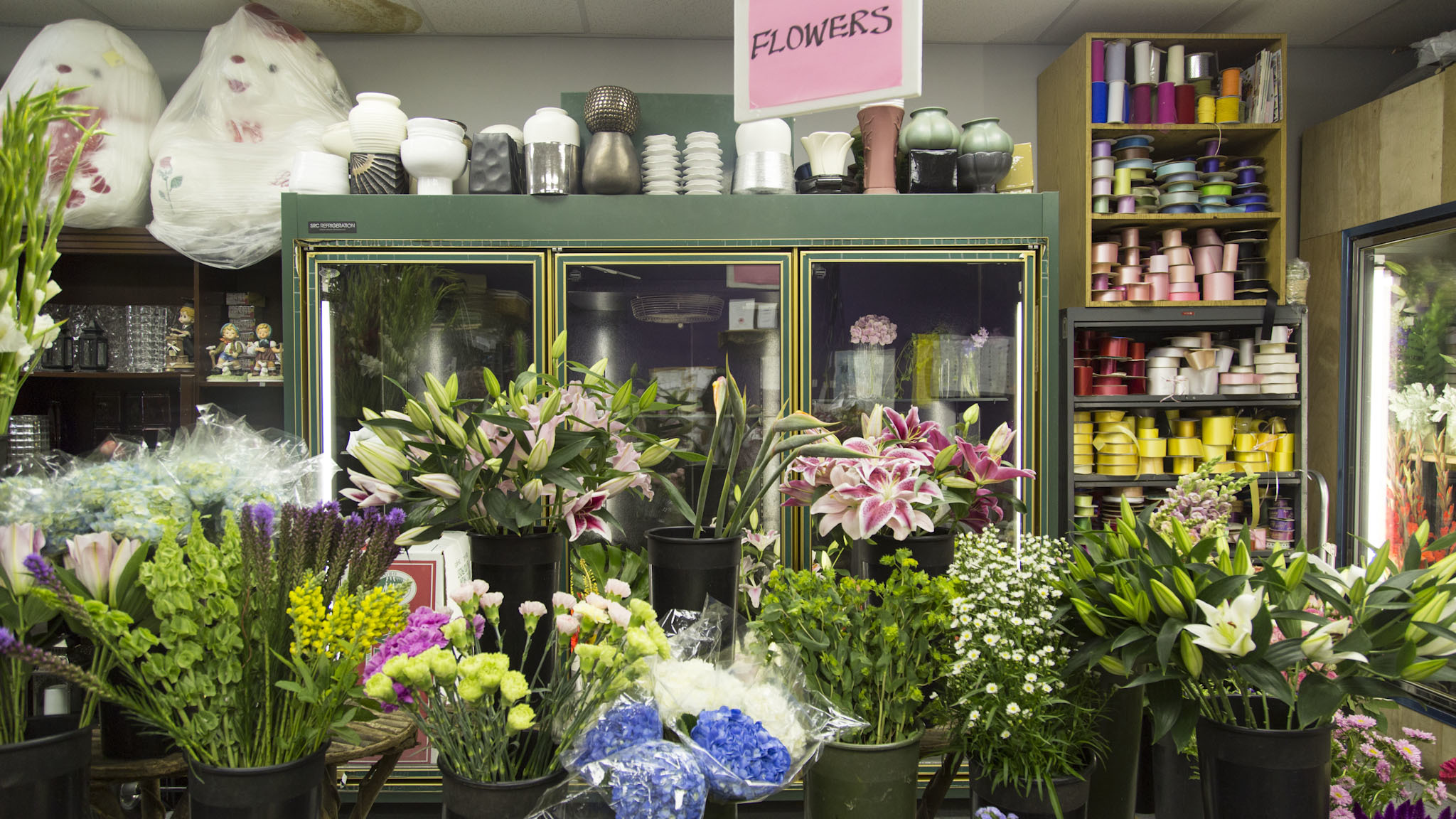 Rogers Park Florist | Shopping in Rogers Park, Chicago