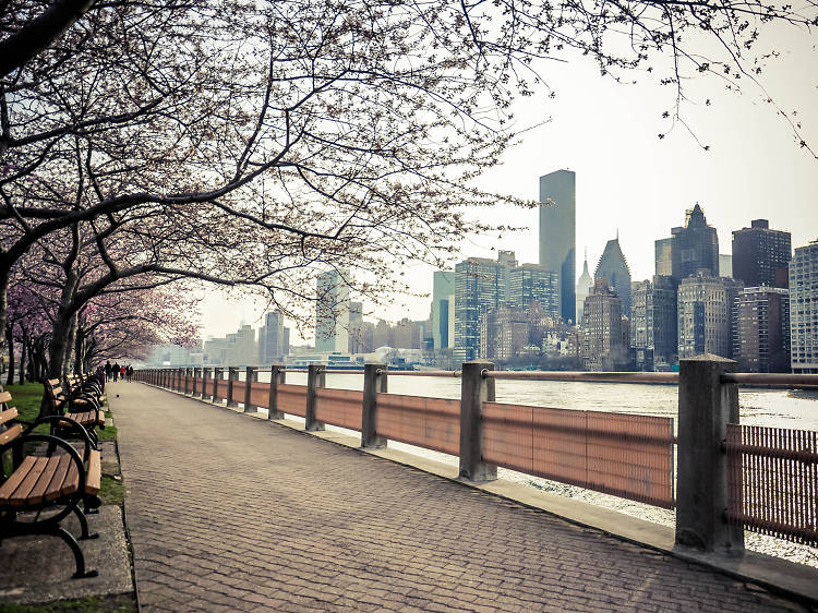 Roosevelt Island