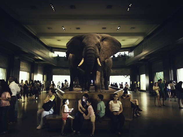 American Museum of Natural History American Museum of Natural History