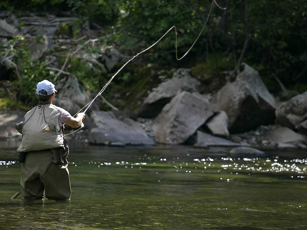 Fly fishing Fly fishing
