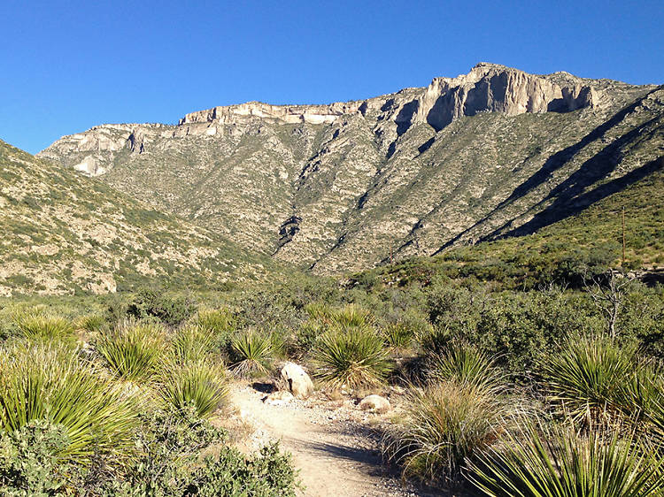 McKittrick Canyon in the Guadalupe Mountains, TX