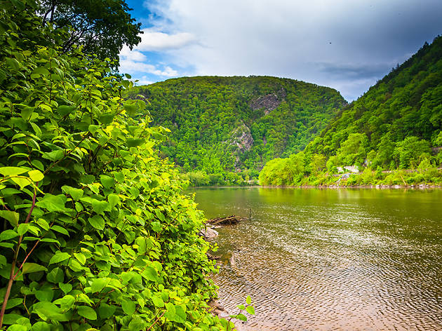 Walpack Bend Walpack Bend