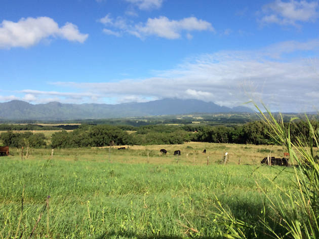 Kipu Ranch, Hawaii Kipu Ranch, Hawaii