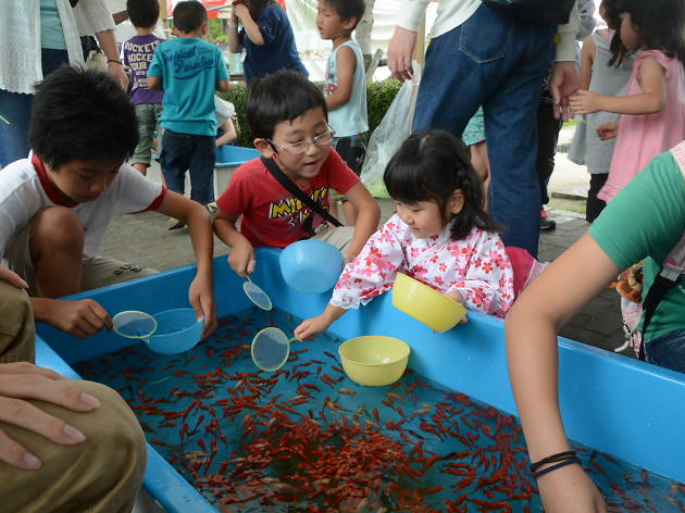 Edogawa Goldfish 第45回 江戸川区特産金魚まつり1 第45回 江戸川区特産金魚まつり1