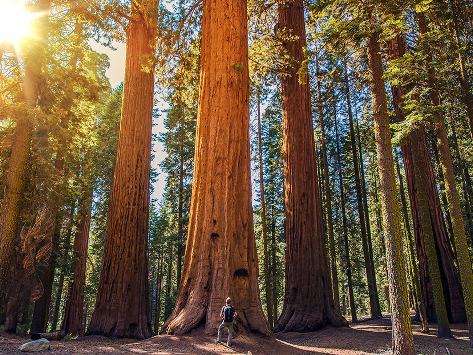 8 Best National Parks in California, Picked By Californians