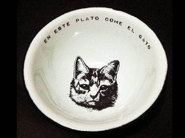 Retro-cat Retro-cat