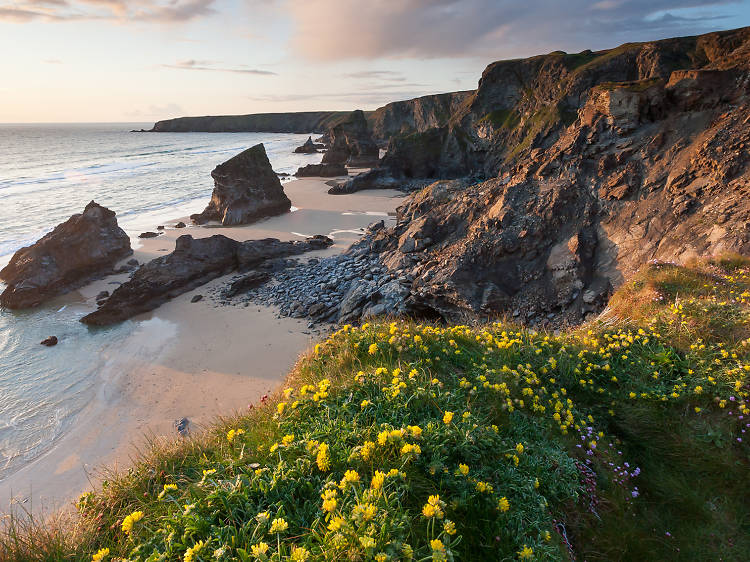 Kynance Cove, Cornwall