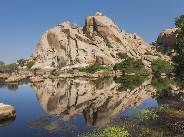 Barker Dam hike