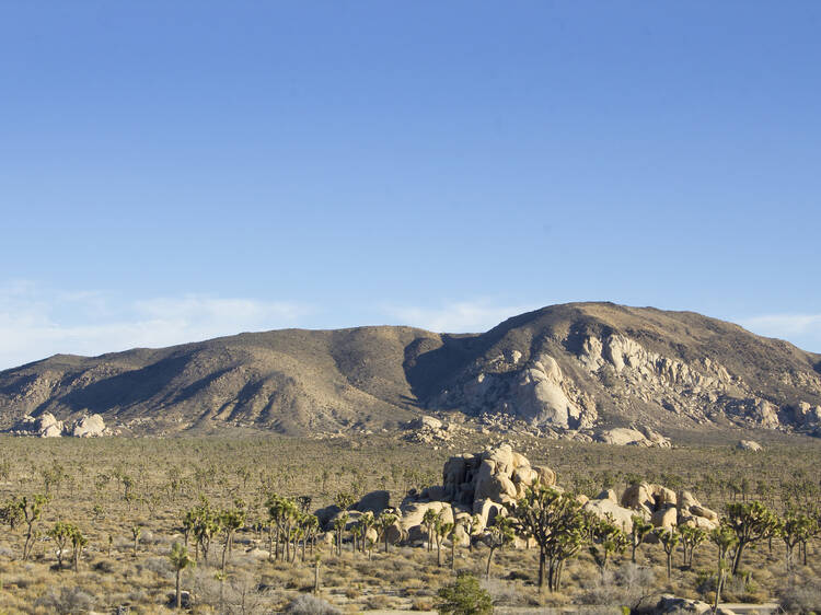 Ryan Mountain hike