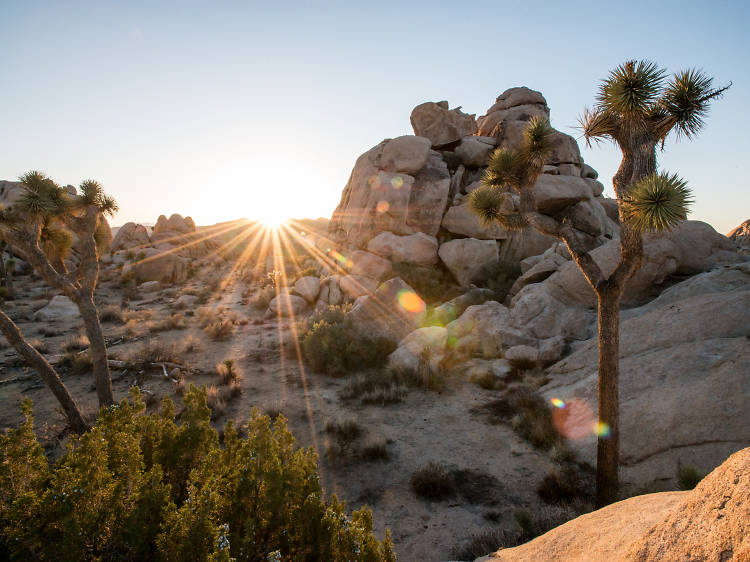 Joshua Tree, Big Sur and Baja, Mexico are only a drive away.