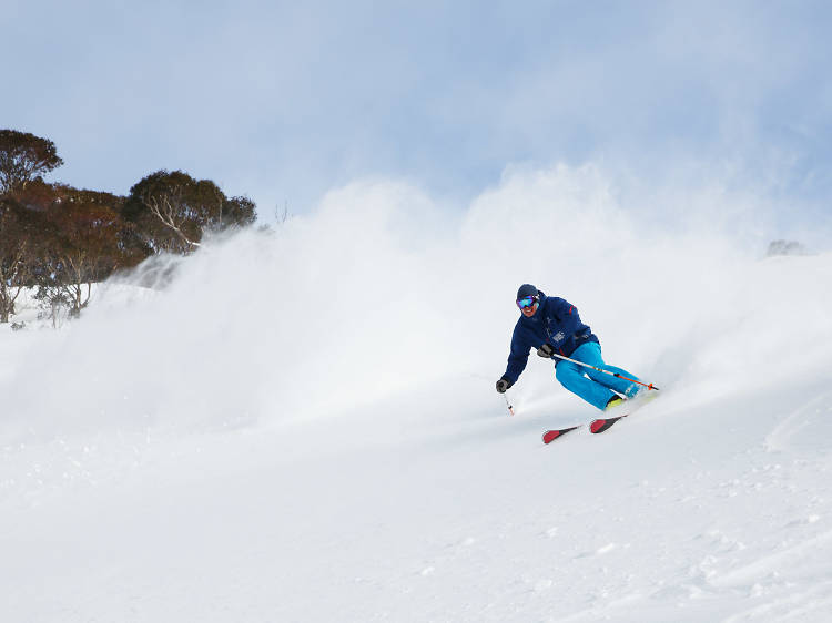 Skiers Powder