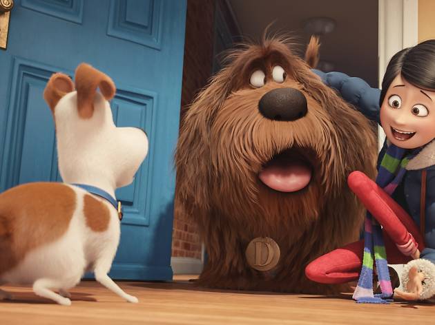 the Secret life of Pets the Secret life of Pets