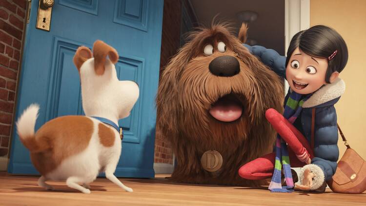 The Secret life of Pets