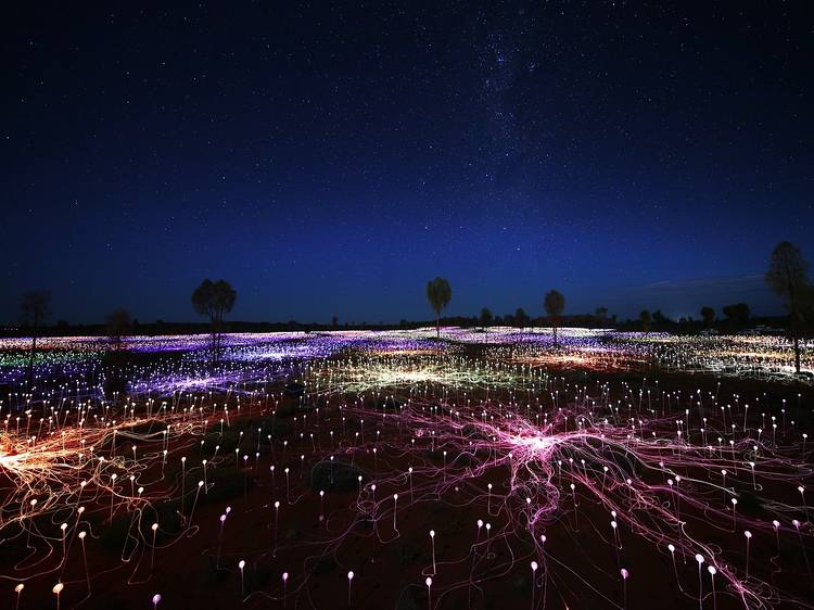 Visit Bruce Munroe’s ‘Field of Light’