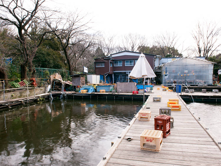 Musashino-en Fishing Pond