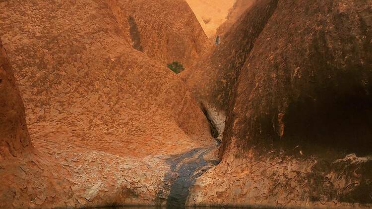 View Uluru from as many vantage points as possible