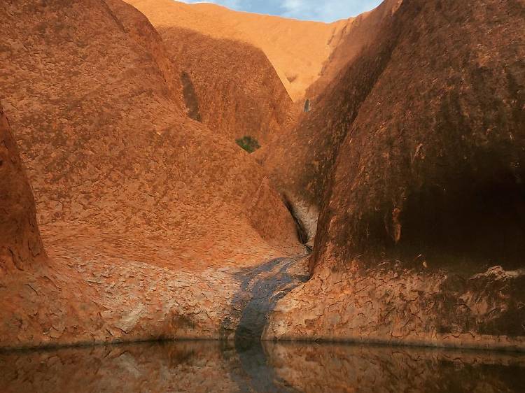 View Uluru from as many vantage points as possible