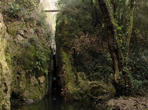 Gorges de Salenys, entre Santa Cristina d'Aro i Llagostera Gorges de Salenys, entre Santa Cristina d'Aro i Llagostera